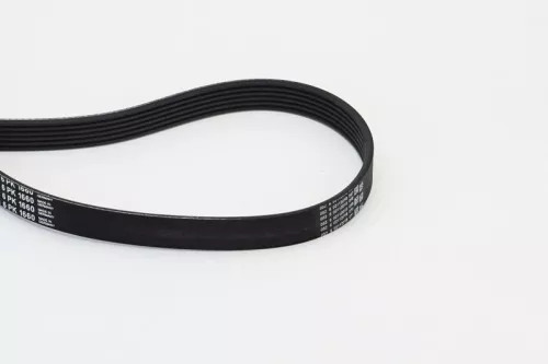 V-ribbed Belt