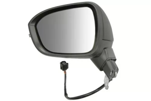 Exterior Mirror