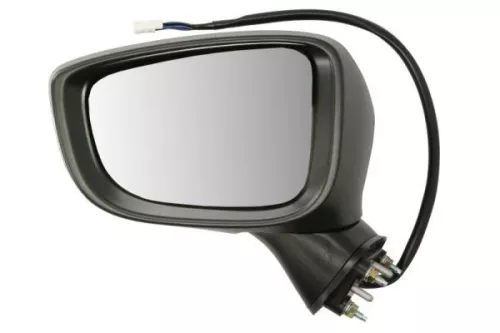 Exterior Mirror
