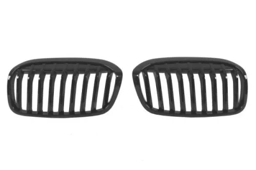 Radiator Grille