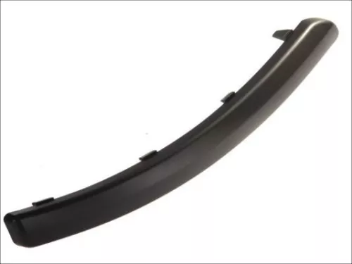 Trim/Protection Strip, bumper