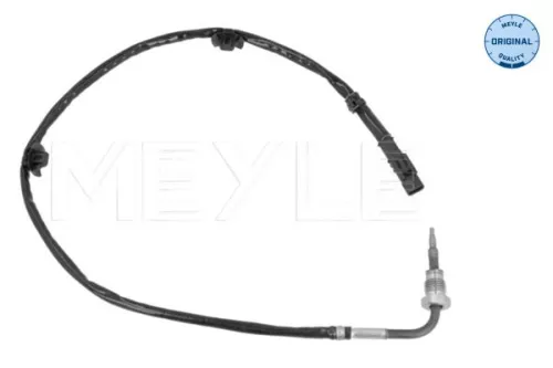 Sensor, exhaust gas temperature