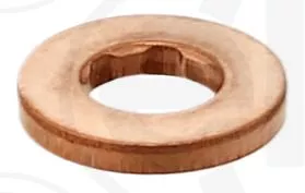 Seal Ring, common rail injector