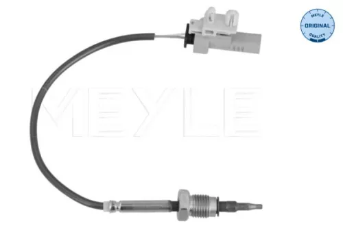 Sensor, exhaust gas temperature