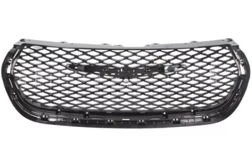 Radiator Grille