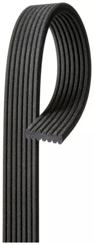 V-ribbed Belt