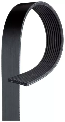V-ribbed Belt