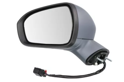Exterior Mirror