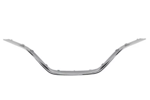 Trim/Protection Strip, radiator grille