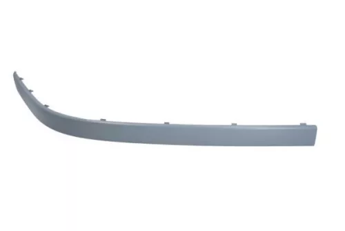 Trim/Protection Strip, bumper