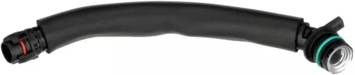 Hose, crankcase ventilation