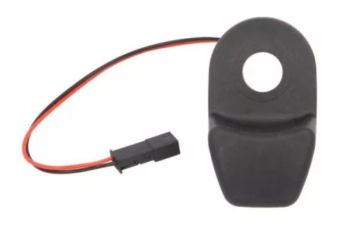 Switch, tailgate release