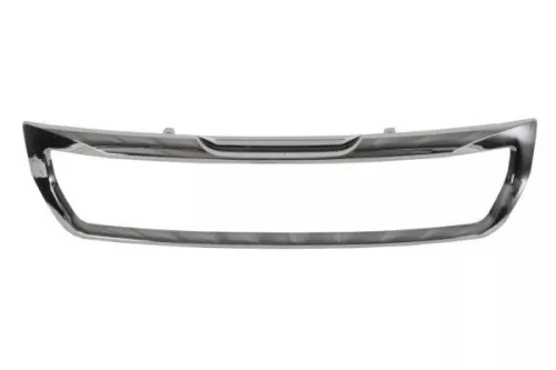 Trim/Protection Strip, radiator grille