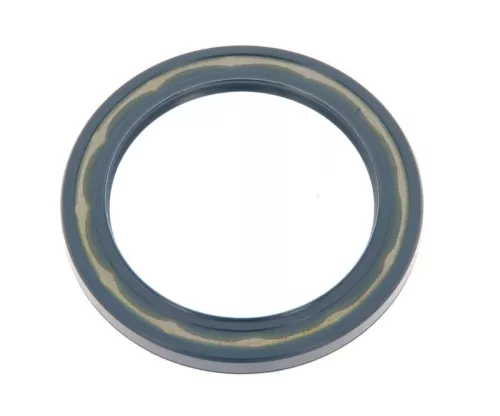 Seal Ring
