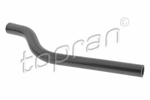 Hose, crankcase ventilation