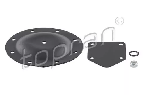 Membrane, vacuum pump