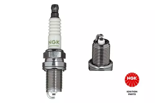 Spark Plug