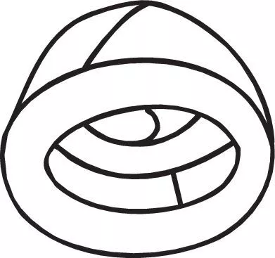 Mount, exhaust system