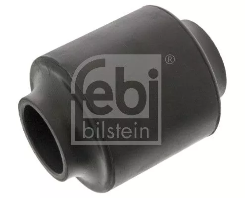 Bushing, leaf spring