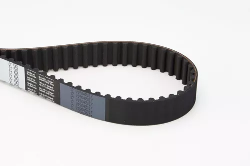 Timing Belt