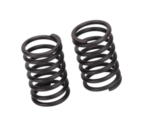 Valve Spring